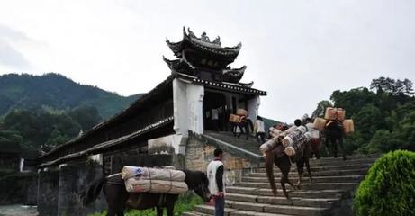 投资上亿的4A级景区被迫停业,是谁将投资商逼到无路可退?