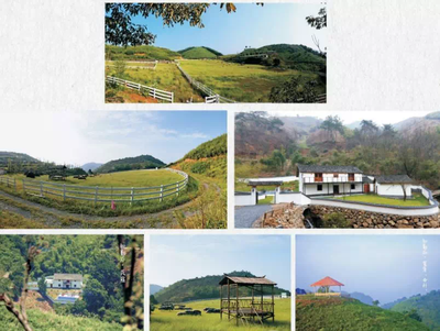 20个项目!62.5亿元!富阳这类产业美爆了!