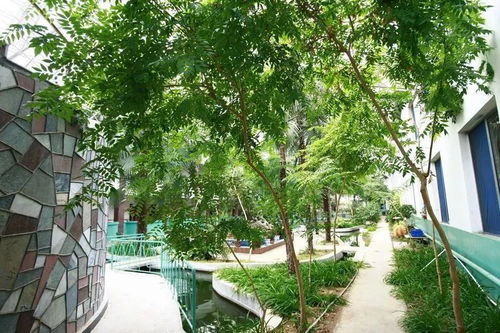 假期出游没思路 我们邀您赏民俗 品美食