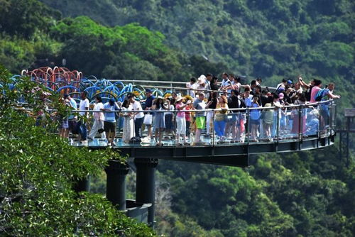 不同类型的旅游区旅游项目策划应该怎么做