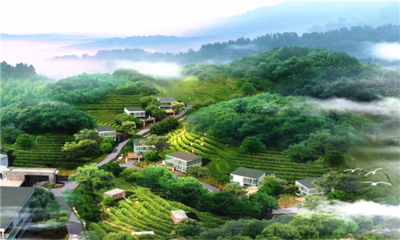森林康养旅游开发条件的重要因素有哪些?