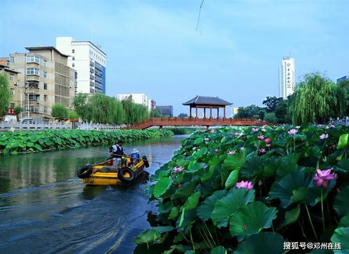 邓州内外城河要开发成旅游项目啦 建成之后原来是这样