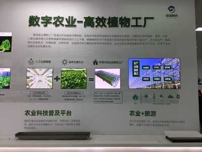 高质量发展调研行丨单位亩产量提升8-10倍 这家植物工厂助农有术
