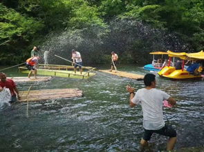 利用乡村自然环境开发旅游项目,年接待10万游客,产值3500多万元