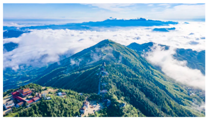 点赞!大云山旅游景区获评“优质康养休闲旅游目的地”