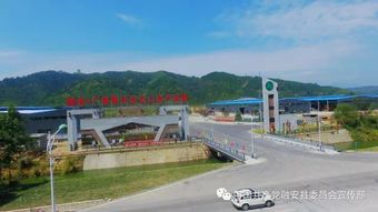 柳州新增这些重大项目可能改变你的生活