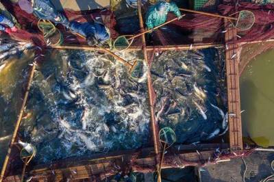 我向你奔赴而来——写在'共富班车'发车满月之际 游览景区管理服务