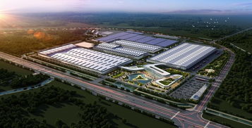 研学旅行基地古茶园综合开发及农产品深加工电商冷链产业园可行性研究报告概述