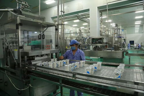 库尔勒经济技术开发区 从工业高地迈向绿色园区新标杆