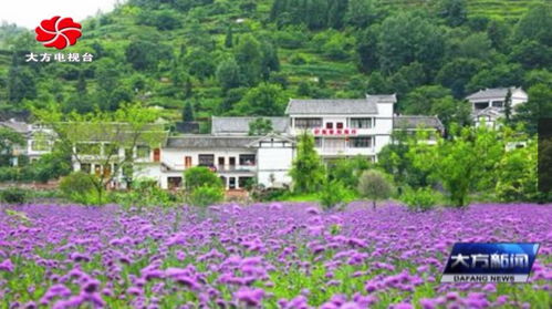 第十一届毕册旅游产业发展大会 聚焦大方，开启旅游项目开发新篇章